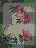 flower show2004 080.jpg